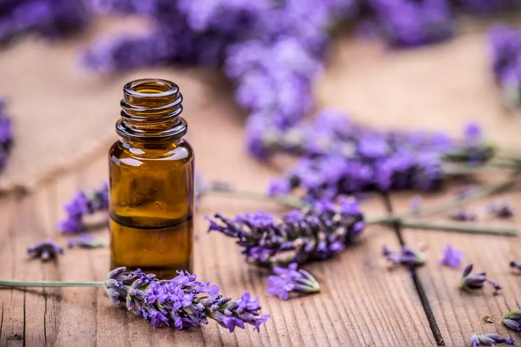 Aceite de Lavanda